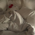 [더보이즈] ㅅㄷ 찬희 키티 인형 손<b>민수</b>하려고 했는데