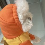 [세븐틴] 하....<b>밥풀</b>이