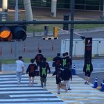 요즘 유행하는 개 옷 뭐임?