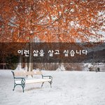 [<b>희망</b>] 이런 삶을 살고 싶습니다~
