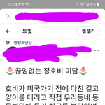 [방탄소년단] 와 ㅌㅅ에 있는 쮀홉 글 봤어?ㅠㅠㅠ