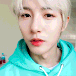 [NCT드림] 내 아기<b>인절미</b> 아기고양이