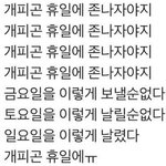 [드루와] 얘들아 나 이정도면 인간승리 아니냐??