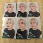 [NCT칠프] 정우 슬애<b>포카</b> 조카