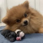 [19] 너네 <b>이런</b> <b>느낌</b> 아냐