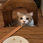 혹시 덕질하는 사람 있어??