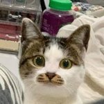 [19] <b>추반</b>해주먄 정시러 3합 <b>수</b>시러 6합