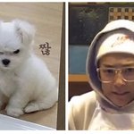 [드루와] <b>스카</b> 갈까 말까