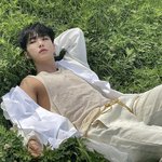 세븐틴 <b>호시</b>