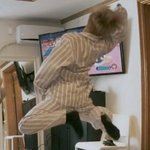 [댓글부탁해] 인싸들은 원래 이러니??