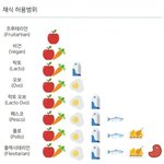 혹시 <b>채식</b>하는 애 있어??