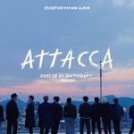 [세븐틴] 13명 뒷모습