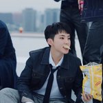 [세븐틴] 호시