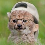 [NCT칠프] 오늘의 <b>수확</b>