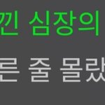 [세븐틴] 처음느낀 심장의 <b>속도</b>가 이리 빠른줄 몰랐어