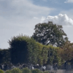 지수 파리에서 좀<b>비물</b> 찍은거 봄?