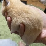 [데이<b>식스</b>] 나 트위터 안해서 그런데