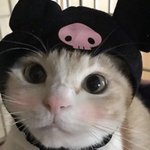 ㄹㅈㄹ 지금 실시간으로 댓글 <b>삭제</b>하네