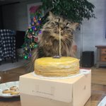 [펜타곤] <b>시루</b> 생일 축하