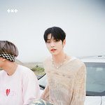 [TXT] 이 헤메코버전 셀카 머 없나