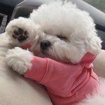 [댓글부탁해] <b>쿠션</b> 추천좀 ㅠ