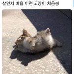 [드루와] <b>시험</b> 3주 남았는데 친구가 놀자는데 어캄