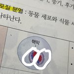 [댓글부탁해] 중3과학 쉬운거 하나만 알려줘ㅠㅠ