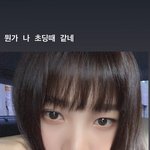 [모두드루와] 조이 초딩때 <b>과사</b> 새로떴다 꿀귀야ㅋㅋ