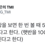 [펜타곤] ㅅㄷ..? 나 관련회사에서