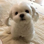 [드루와] 나 나이들어보이는거맞니