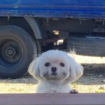 이 유튜버알아??!!
