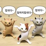 [드루와] 혹시 흉곽 <b>호흡</b> 하는 사람