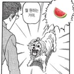 [NCT칠프] <b>이마크</b>만 보면 짖