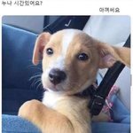 [NCT칠프] 나잇<b>굿</b>
