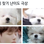 [방탄소년단] 자? <b>심심</b>하면 숨은 정구기 찾기 할래
