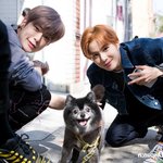 [NCT칠프] 강<b>쥐</b>셋