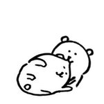 나 <b>농담</b>곰 포카 뽑은건데 추반 좀