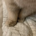 <b>예명</b> 찰떡인 아이돌