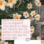 아 너히는 <b>인스타</b>에 나같은 <b>글</b> 싸질르지 마라