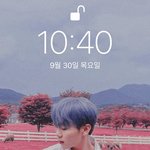 [세븐틴] 판럿들아