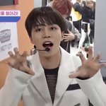 [NCT칠프] 문태일이 <b>랫</b>서판다인 이유