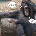 [드루와] <b>과학</b> 동아리인 판녀있어?ㅠㅜ