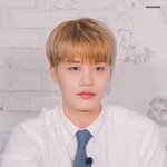 [NCT칠프] <b>시바견</b> 그 자체인데