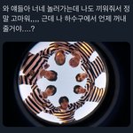 [엔하이픈] <b>컨포</b> 너무 좋은데 왤캐 웃기지