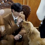 우리 하지 말까요? 강아지가 싫어하는데.jpg