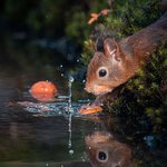 <b>찰나</b>에 담아낸 역동적인 순간들