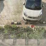 [꼭조언부탁] <b>식물</b> 오지게 키우는 아랬집 여자