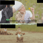 야생돌 데뷔조 가까스로 안착한 남돌
