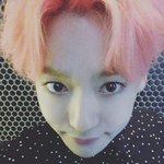 [드루와] 나 소나무인가