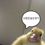 [댓글부탁해] 너희 친구얘기 잘 기억해두는편임?